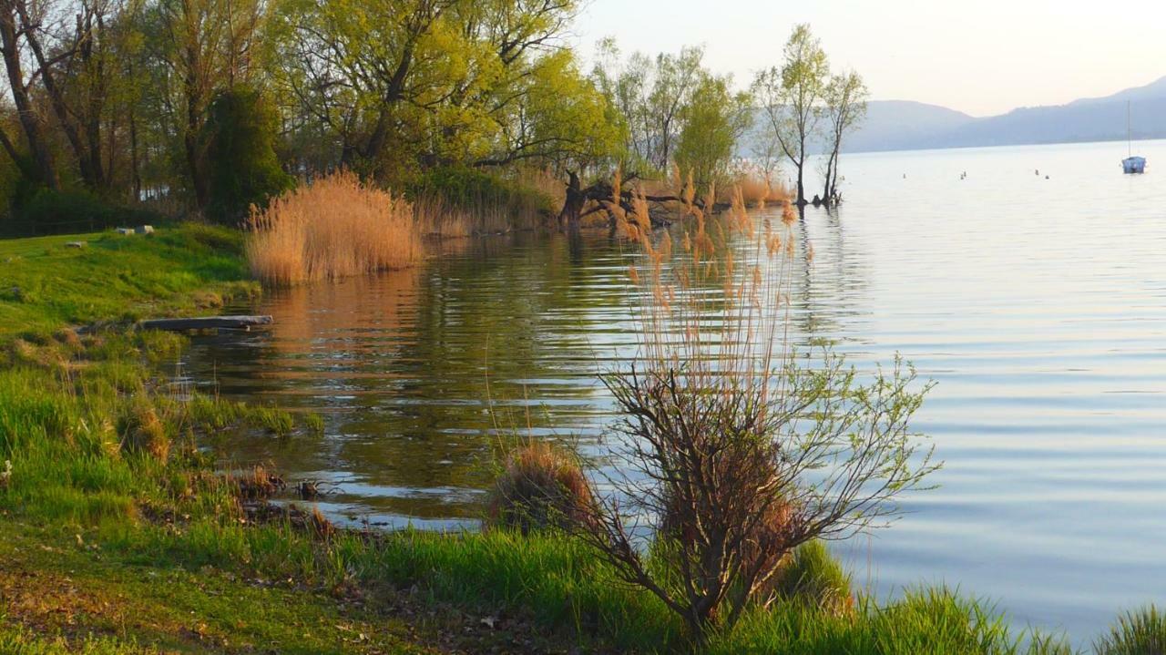 The Gulf Villa - Lago Maggiore Monvalle Εξωτερικό φωτογραφία