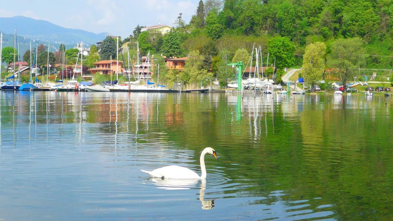 The Gulf Villa - Lago Maggiore Monvalle Εξωτερικό φωτογραφία