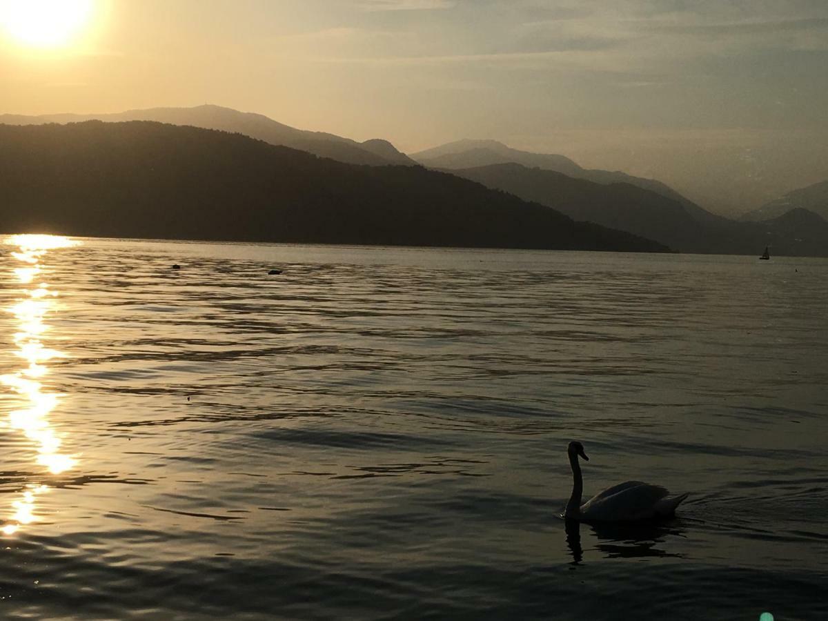 The Gulf Villa - Lago Maggiore Monvalle Εξωτερικό φωτογραφία