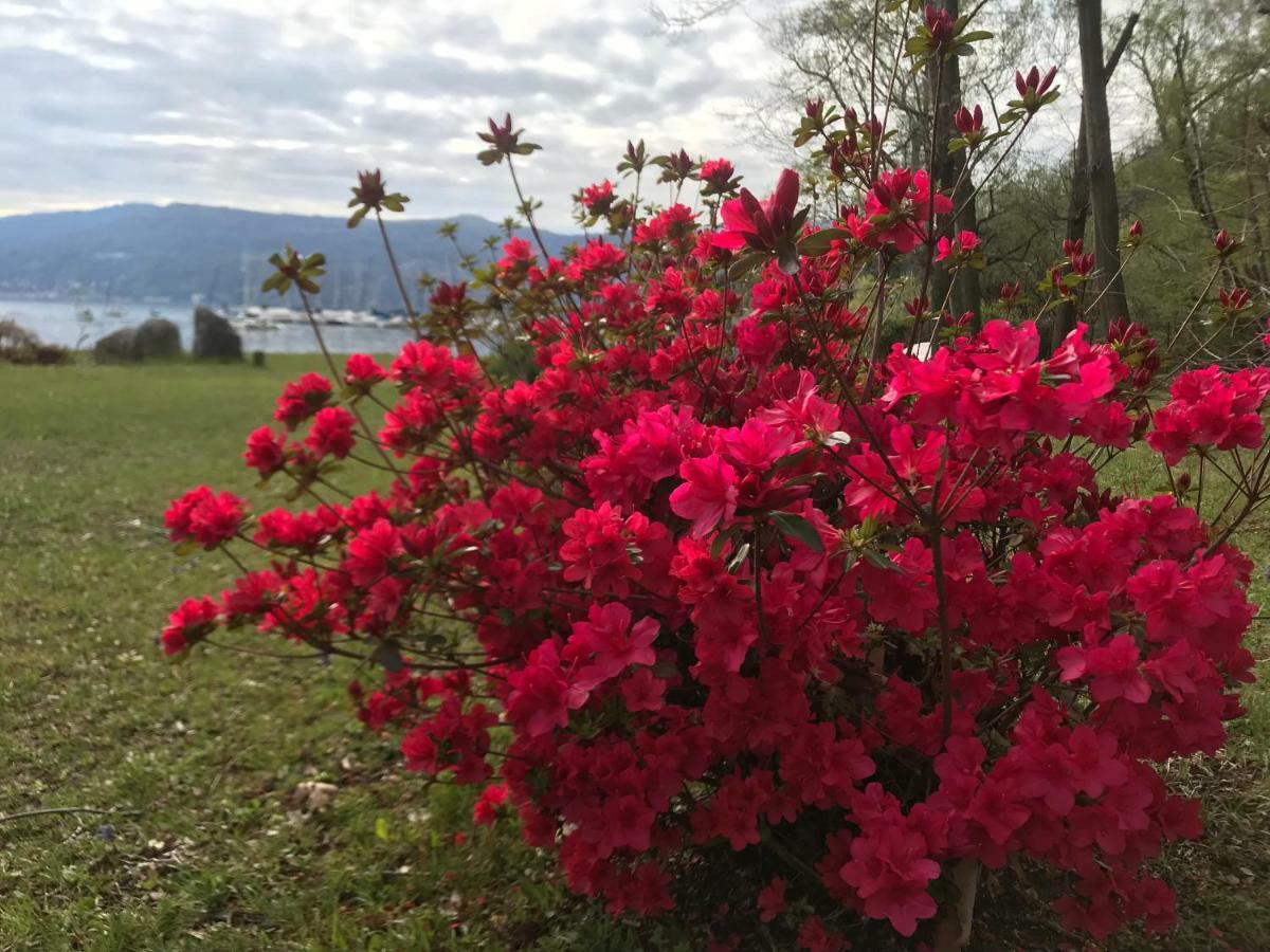 The Gulf Villa - Lago Maggiore Monvalle Εξωτερικό φωτογραφία